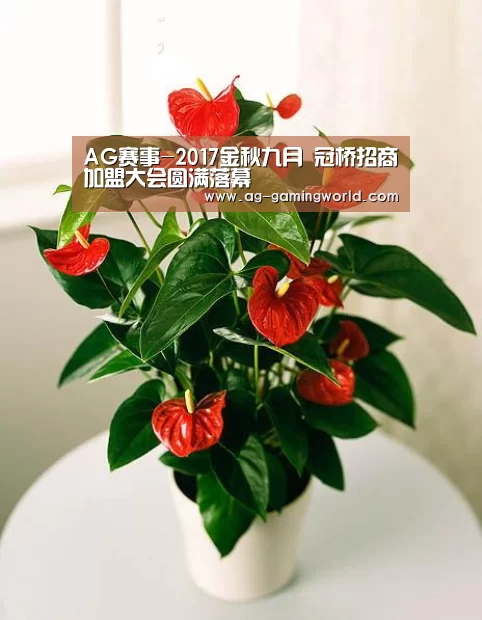 AG赛事-2017金秋九月 冠桥招商加盟大会圆满落幕(图3) AG赛事