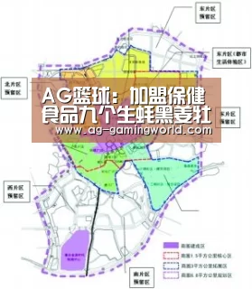 AG篮球