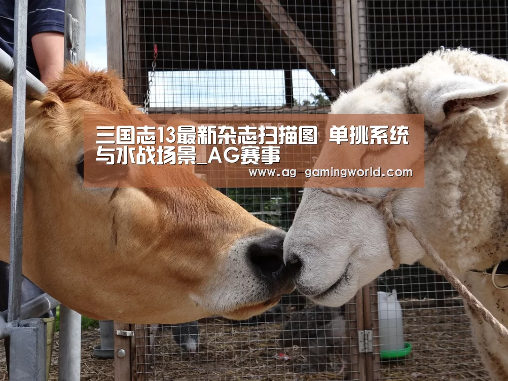 AG篮球