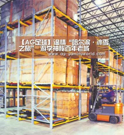 【AG足球】温情“哈尔滨·冰雪之旅” 游学神秘百年老城(图1) AG足球