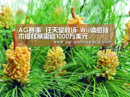 AG赛事-任天堂败诉 Wii体感技术侵权案需赔1000万美元(图1) AG篮球
