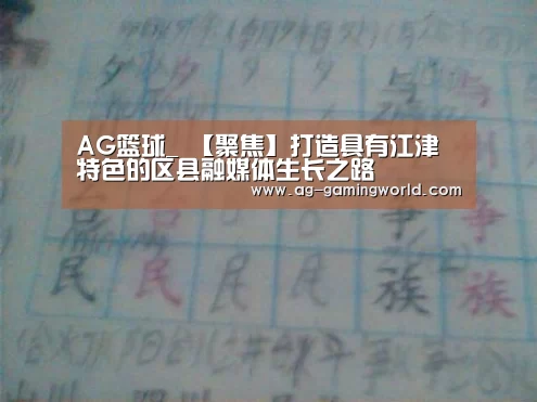AG篮球